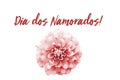 Dia dos Namorados! text in Portuguese: ValentineÃ¢â¬â¢s Day! and red and white dahlia flower isolated on a seamless white background